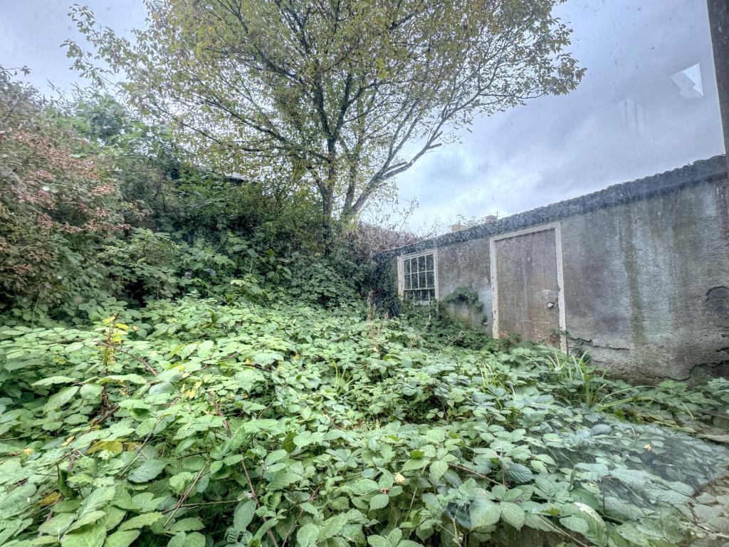 Lot: 50 - SPACIOUS THREE STOREY FORMER DENTIST SURGERY - Garden Area